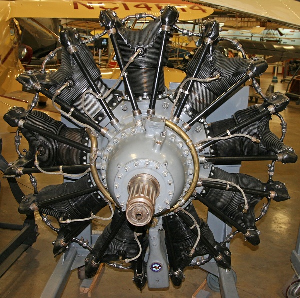 hornet-1a.jpg