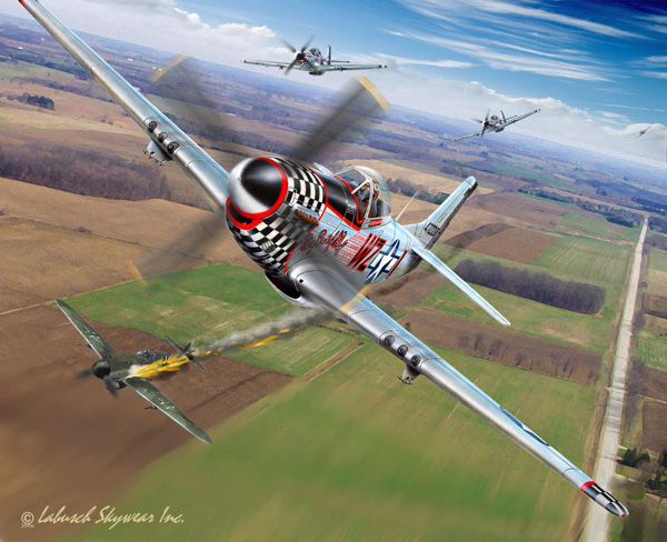 p51web1.jpg